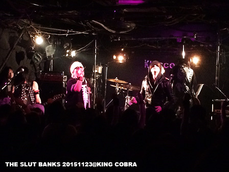 20151123@心斎橋KING COBRA